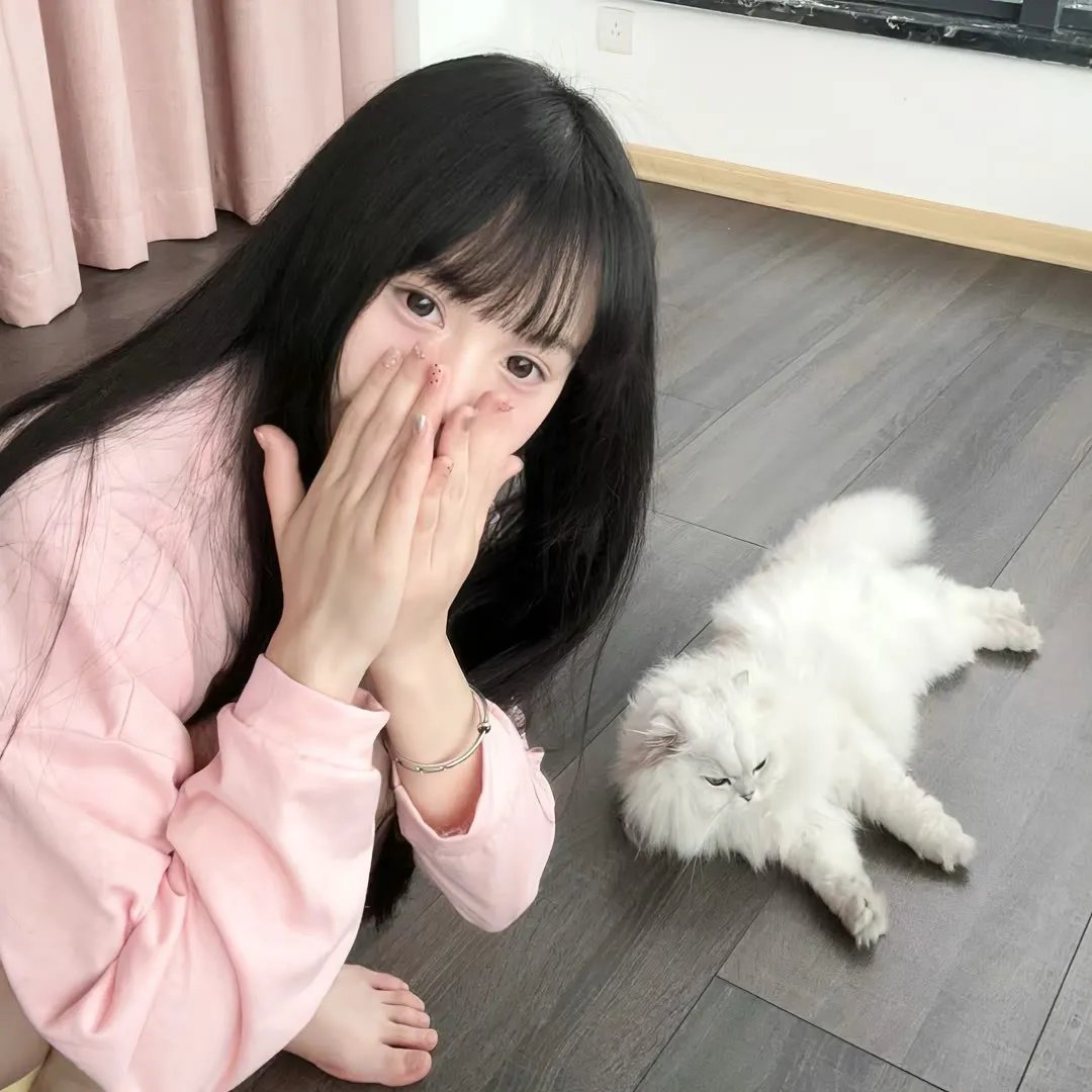 彩叶草之梦