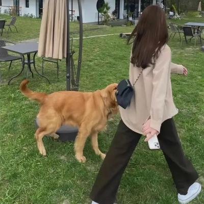 派对女孩